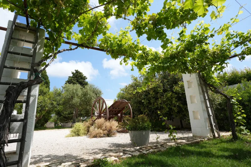 Masseria MonteFieno